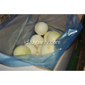 Hotsale Yellow Peeled Onion dengan kualitas bagus